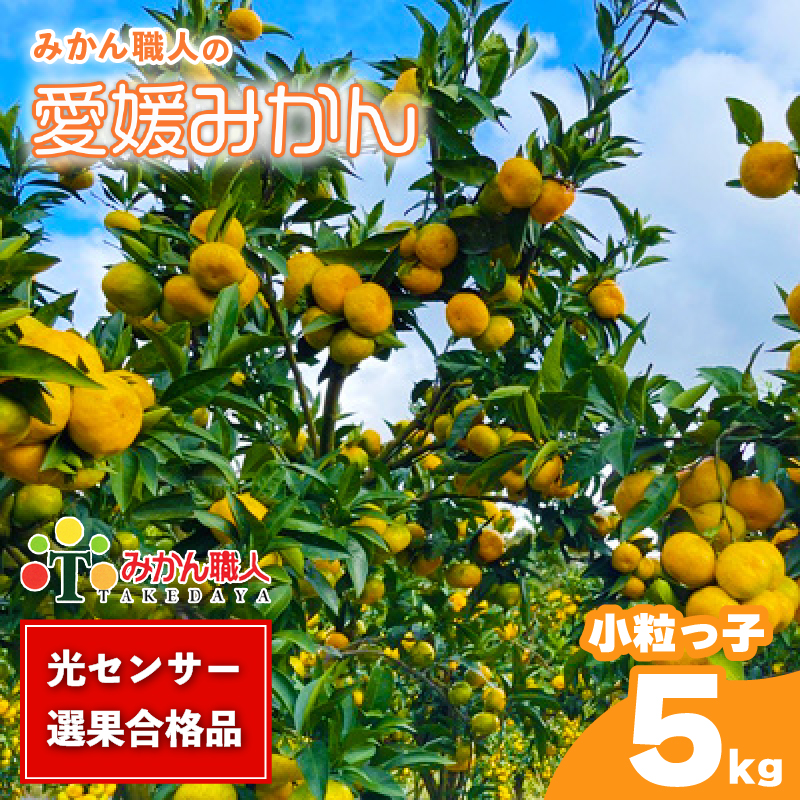 訳あり 愛媛みかん 小粒っ子 約5kg 【発送期間：9月中旬～1月中旬】 柑橘 果物 国産 フルーツ 蜜柑 ミックス 不揃い 傷 温州 ビタミン 美味しい みかん職人武田屋 愛媛県 愛南町