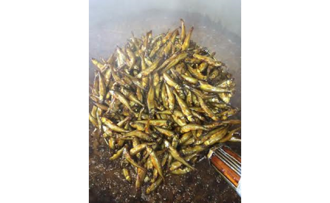 【淡海のふるさとの香り高い味】近江ふるさとの味セット(６種)【D003W】