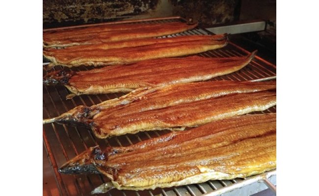 【一度食べたらやみつき！リピート多数】うなぎ蒲焼１尾【D008W】