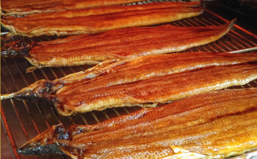 【一度食べたらやみつき！リピート多数 】うなぎ蒲焼4尾セット【D010W】