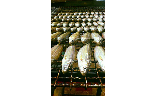 【琵琶湖に感謝！鮮・技・美味！　琵琶湖産　天然本もろこ使用】酢もろこ（本もろこ酢漬）　【D016W】