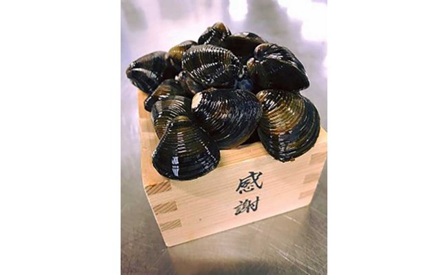 【琵琶湖に感謝！滋味香る！】　琵琶湖産　天然瀬田シジミ　3kgパック【D018W】