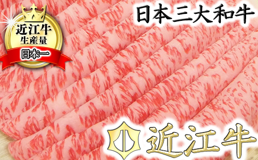 yꌧߍ]szߍ]Ԃԗpy450zyN005Wz