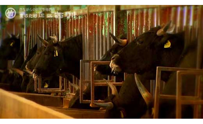 【年内発送】近江牛しゃぶしゃぶ用【450ｇ】【N005W】