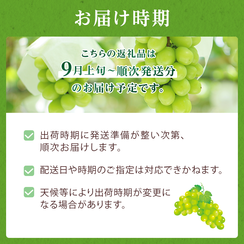 岡山県玉野市のふるさと納税 ぶどう 2025年 先行予約 ご家庭用 シャイン マスカット 約2kg 糖度抜群！ 【9月上旬～順次発送分】 ブドウ 葡萄  岡山県産 国産 フルーツ 果物 果物類