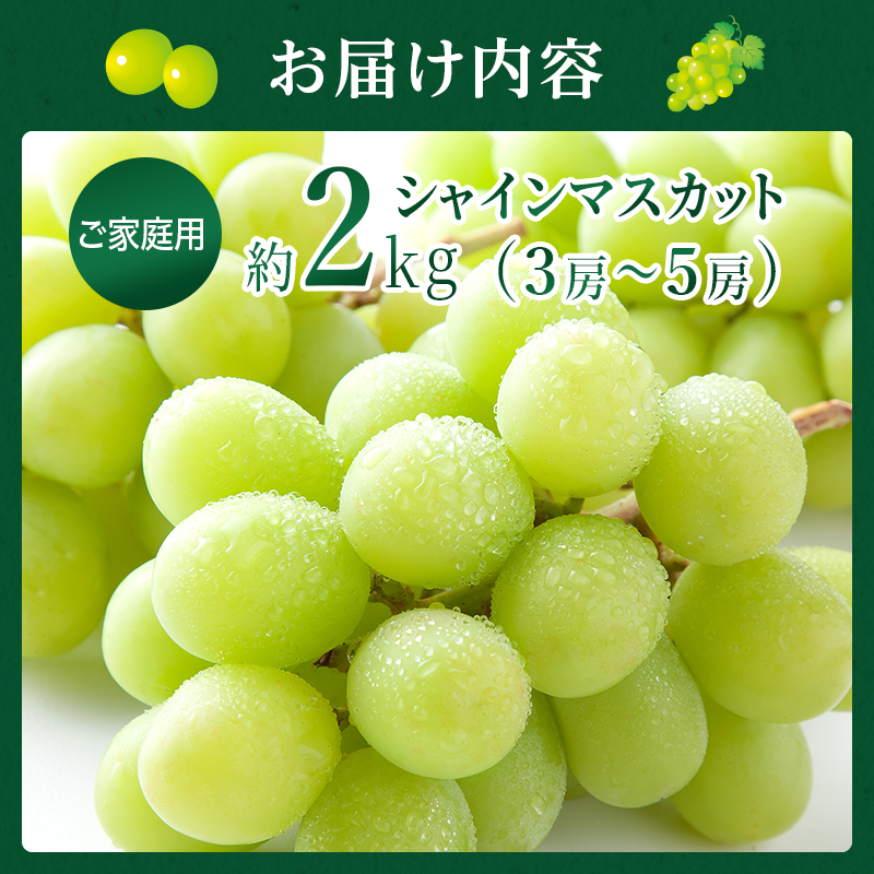 岡山県玉野市のふるさと納税 ぶどう 2025年 先行予約 ご家庭用 シャイン マスカット 約2kg 糖度抜群！ 【9月上旬～順次発送分】 ブドウ 葡萄  岡山県産 国産 フルーツ 果物 果物類
