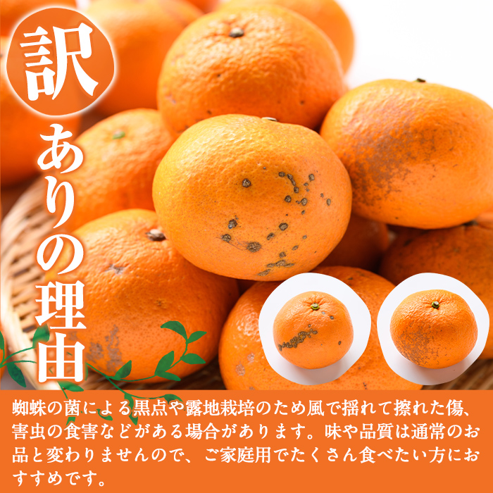 鹿児島県阿久根市のふるさと納税 ＜先行予約受付中！2025年12月下旬以降順次発送予定＞訳あり紅甘夏(約20kg) 国産 果物 フルーツ 柑橘 期間限定 紅甘夏【桐野柑橘株式会社】akn070-09