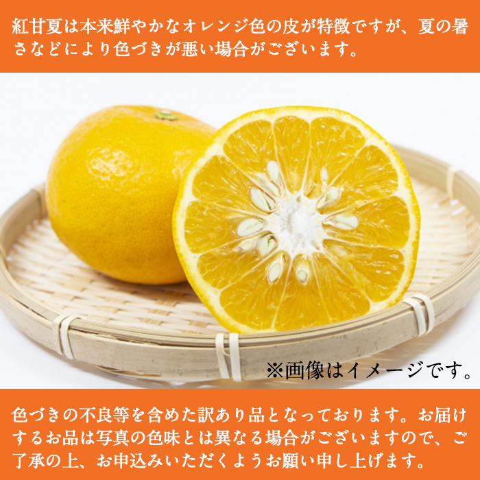 鹿児島県阿久根市のふるさと納税 ＜先行予約受付中！2025年12月下旬以降順次発送予定＞訳あり紅甘夏(約20kg) 国産 果物 フルーツ 柑橘 期間限定 紅甘夏【桐野柑橘株式会社】akn070-09