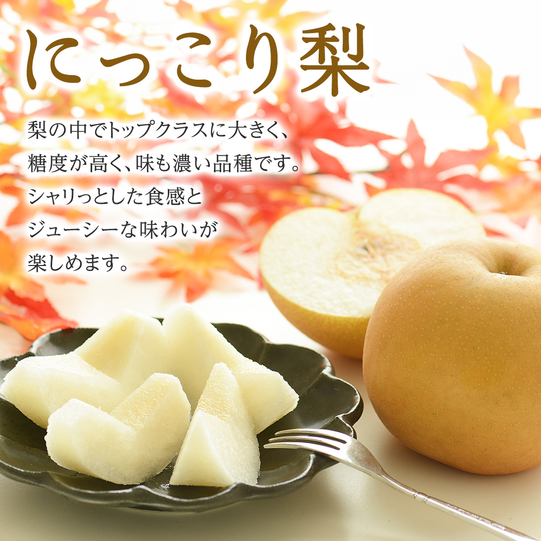 茨城県筑西市のふるさと納税 【 JA 北つくば 】 筑西ブランド 認証品 にっこり 5kg 2025年産 先行予約 梨 果物 フルーツ なし ナシ 和梨 [AE030ci]