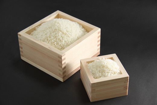 【新米】【7年産】近江米　コシヒカリ 白米【10kg（5kg×2袋）】【V012W】