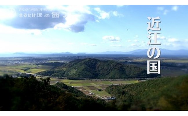 近江しぐれ　５種【500ｇ（100ｇ×5種類）】【N011W】
