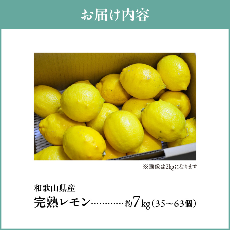 EA6012n_和歌山県産 完熟 レモン 7kg 皮まで使用可能（栽培期間中農薬不使用）