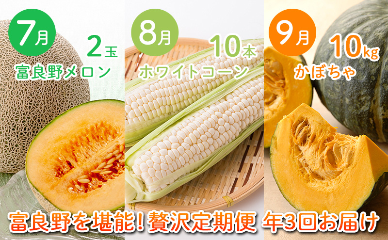 2026年夏～発送 富良野を堪能！贅沢 定期便 年3回  北海道 富良野産 とうもろこし メロン かぼちゃ 野菜 ふらの とうきび