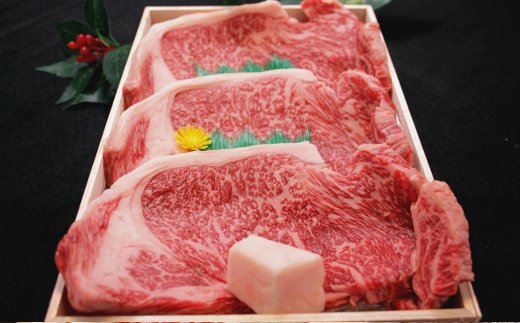 【4等級以上】近江牛サーロインステーキ【600ｇ（  200g×3枚入り）】【H013W】