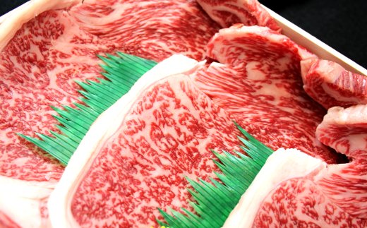 【4等級以上】近江牛サーロインステーキ【600ｇ（  200g×3枚入り）】【H013W】