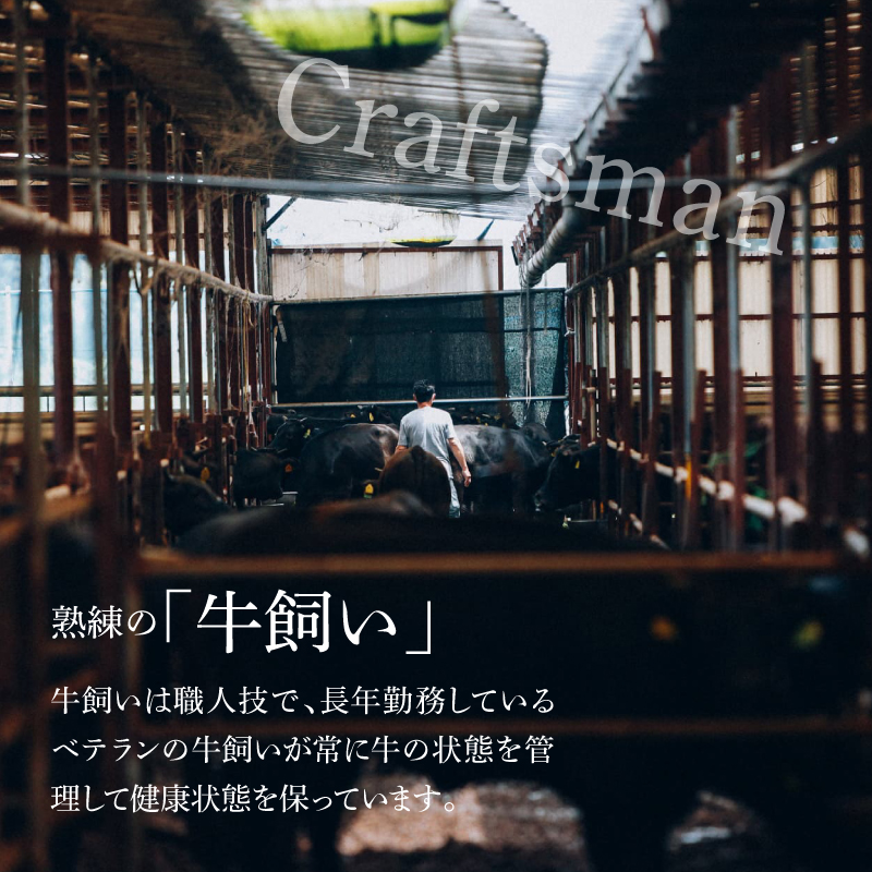 宮崎県木城町のふるさと納税 ＜有田牧場直送　この華牛切落したっぷり 800ｇ＞ K20_0002_3