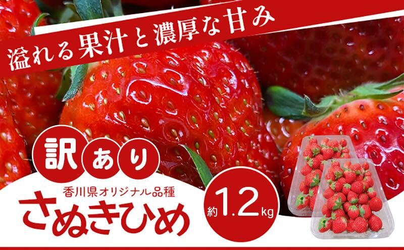 y쌧sz󂠂 ʂЂ 1.2kg 쌧Y  C`S t[c ʕ  {̃t[c {̉ʕ s W H HHi A  쌧 s