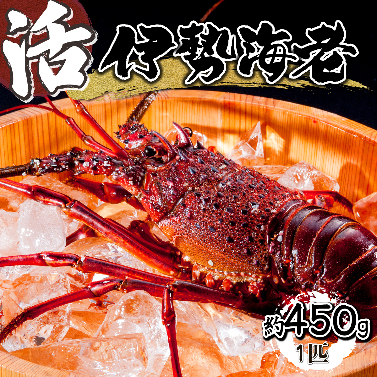 [先行予約][数量限定]宮崎県串間産伊勢エビ(計約450g・1匹)[合同会社Houryoumaru]