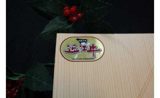 【年内発送】極上近江牛サーロインステーキ【600ｇ（200ｇ×3枚）】【AG01W】