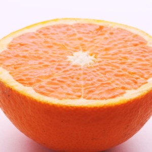 ＜2月より発送＞厳選 清見オレンジ2.5kg+250g（傷み補償分）◇【光センサー食頃出荷】【樹上完熟きよみオレンジ・清見タンゴール・清美】 ※2026年2月上旬～3月下旬頃に順次発送予定 ※北海道・沖縄・離島への配送不可