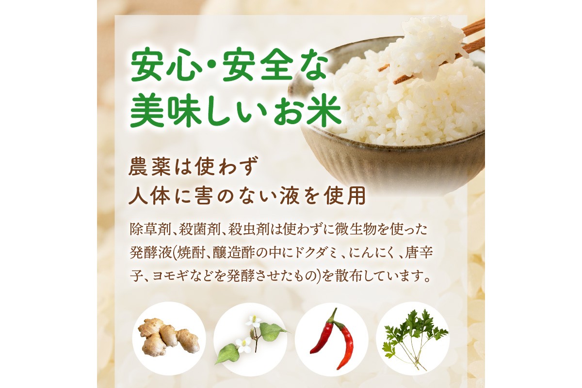 福岡県飯塚市のふるさと納税 【令和7年産】農薬・化学肥料不使用 真ちゃん米 5kg【B7-036】