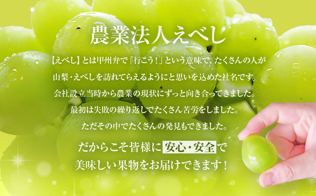 山梨県中央市のふるさと納税 【2025年発送】 ぶどう 山梨県産 シャインマスカット 約1.8kg [株式会社えべし 山梨県 中央市 21471021] フルーツ 果物 くだもの ブドウ シャイン マスカット 葡萄 期間限定 季節限定
