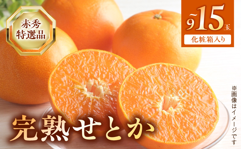 BF6048n_（2026年先行受付）完熟 せとか 赤秀 特選品 9～15玉 化粧箱