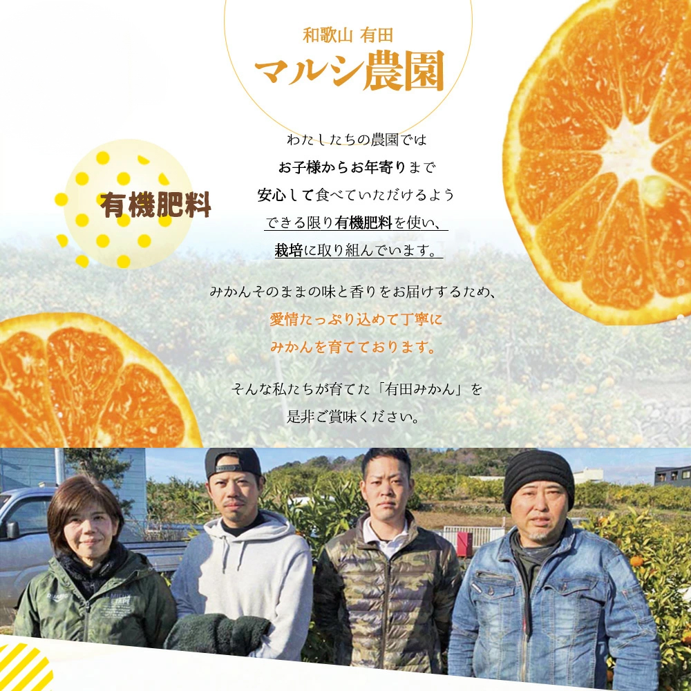 BF6049n_（2026年先行受付）完熟 せとか 青秀品 9～15玉 化粧箱