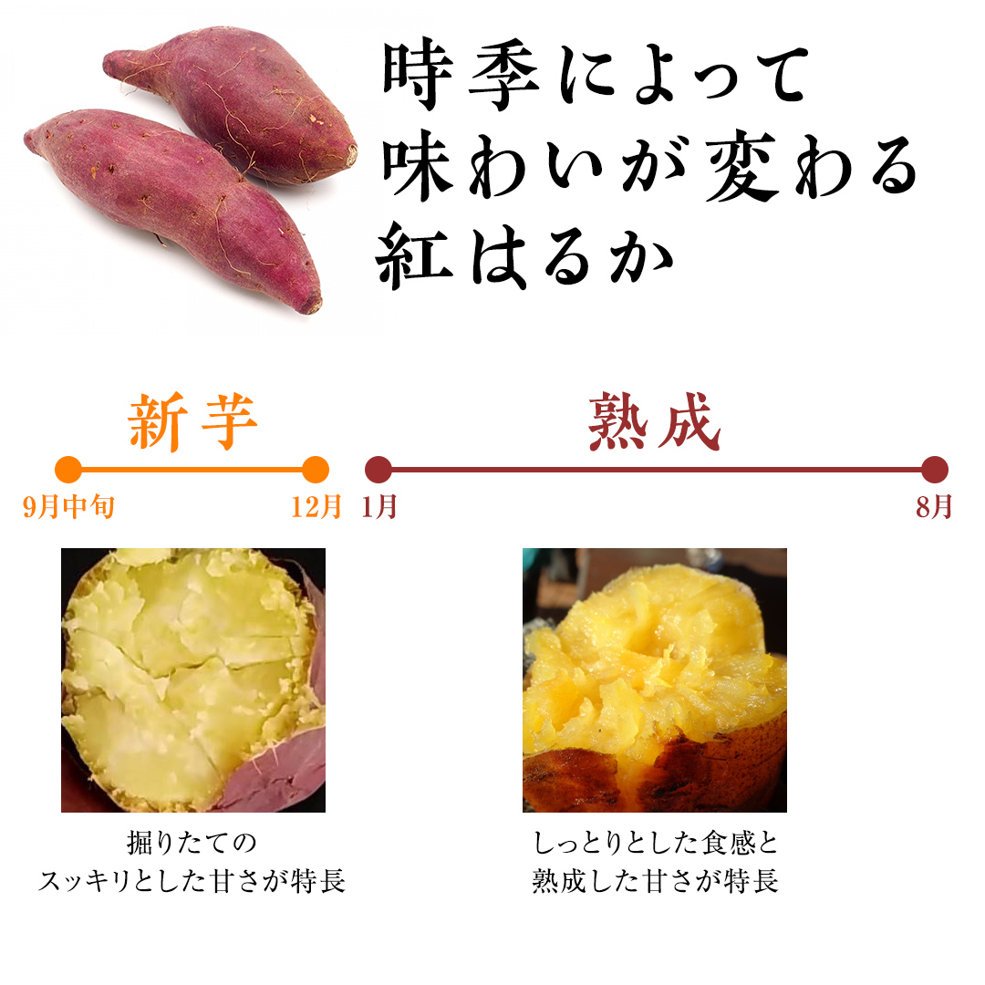 つくばみらい市産 さつまいも 紅はるか 土付き5kg サイズ未選別