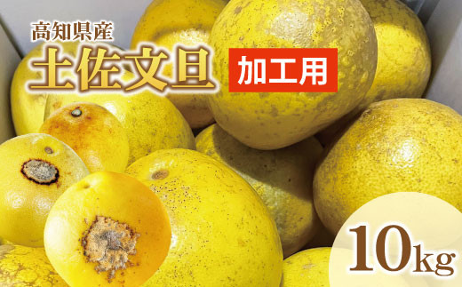 土佐文旦 文旦 訳あり 大玉入り 20kg 20キロ 3L～L ぶんたん