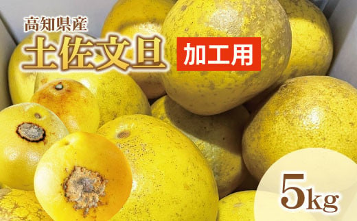 大人気　訳あり文旦　20kg 柑橘　19 低 価格 通販食品・飲料・酒 - 大人気 訳あり文旦 20kg 柑橘 19