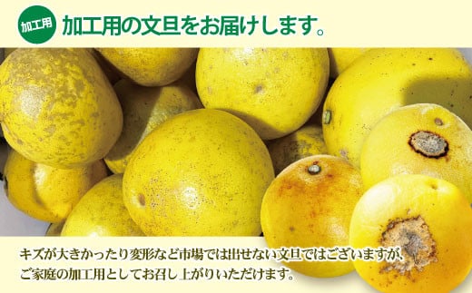 訳あり】土佐文旦（ぶんたん）加工用（M～5L混合）約5kg