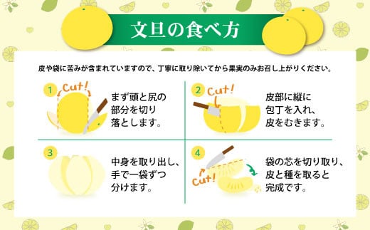 【訳あり】土佐文旦(ぶんたん) 家庭用(M～5L混合サイズ) 約3kg　株式会社とさもん（土佐市）厳選
