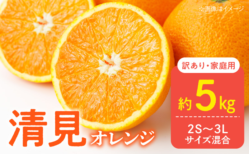 直営限定】【2027年先行予約】初夏のみかん なつみ 7.5kg【家庭用 訳