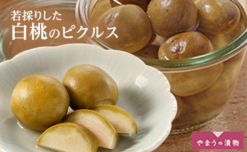 【岡山県高梁市】若採りした白桃のピクルス100g 2個 岡山