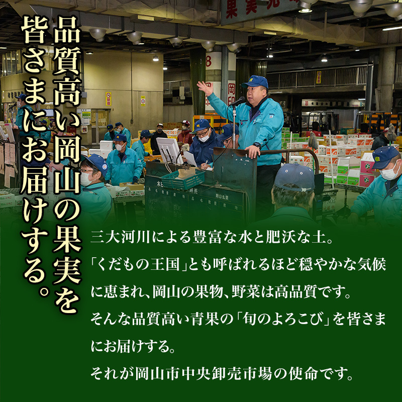 桃 ぶどう 梨 定期便 2026年 先行予約 晴れの国 岡山 の フルーツ 定期便 6回コース もも 葡萄 なし 岡山県産 国産 セット ギフト アレキサンドリ ニューピオーネ シャインマスカット 晴王 紫苑 