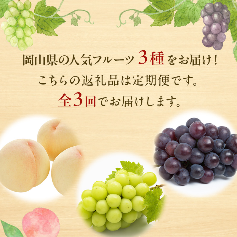 フルーツ 定期便 2026年 先行予約 フルーツ王国 岡山 厳選 果物 （7月 9月 10月）3回コース 桃 もも 葡萄 ぶどう 岡山県産 国産 セット ギフト ニューピオーネ シャインマスカット 晴王 旬の果物 