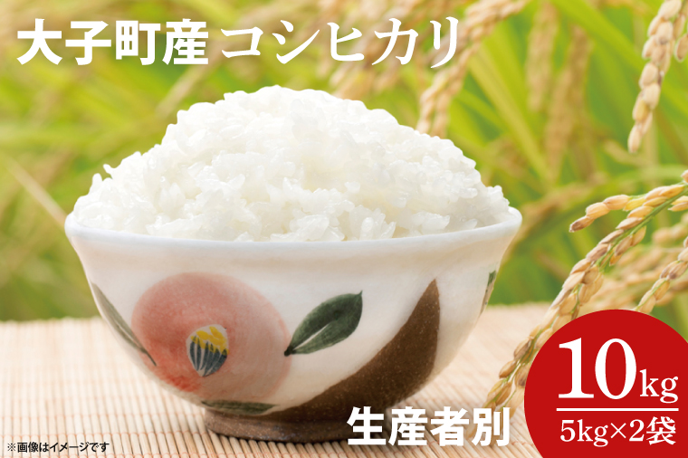 【ふるさと納税】大子町産コシヒカリ 生産者別10kg（5kg×2袋）｜茨城県 大子町 お米 白米 大子米 こしひかり（AJ008）