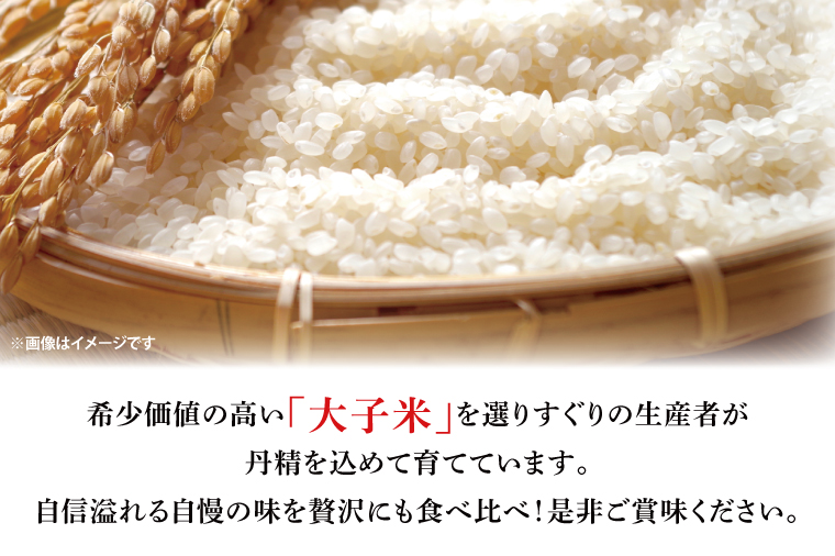 【ふるさと納税】大子町産コシヒカリ 生産者別10kg（5kg×2袋）｜茨城県 大子町 お米 白米 大子米 こしひかり（AJ008）