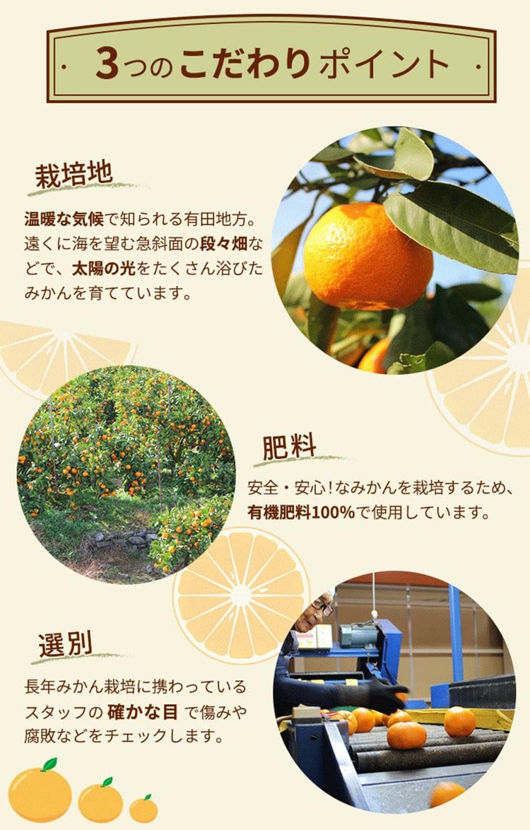 ＼光センサー選別／こだわりの完熟有田みかん 5kg＋250g(傷み補償分)【ご家庭用】サイズ混合 有機質肥料100% ｜ みかん 有田みかん 温州みかん ミカン 温州ミカン 柑橘 温州 甘い コク 産地直送◇※2025年11月中旬～2026年1月上旬頃に順次発送予定 ※北海道・沖縄・離島への配送不可