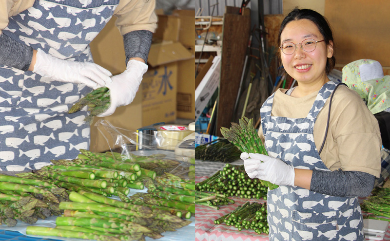 十勝幕別町産 グリーンアスパラ1kg M～2L混合［山田敏明牧場］【2026年5月出荷開始】 北海道 野菜 アスパラガス 