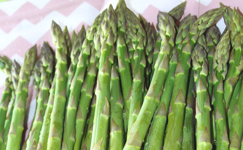 十勝幕別町産 グリーンアスパラ2kg 極太L～3L混合［山田敏明牧場］【2026年5月出荷開始】  北海道 野菜 アスパラガス