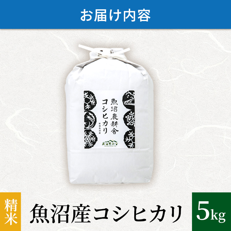 新潟県魚沼市のふるさと納税 【令和7年産 新米先行受付】米農家自慢の 魚沼産 コシヒカリ （精米）5kg×1袋 お米 ライス ご飯 主食 新潟県産 産地直送 おにぎり お弁当