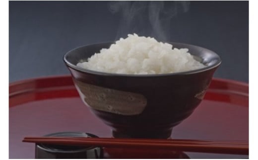 【新米】【7年産】近江米　コシヒカリ　白米【20kg（10kg×2袋）】【V016W】