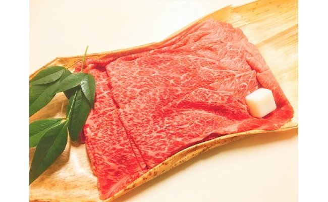 yꌧߍ]szјa ߍ] y㑚z EJ^ ₫p y500gzyBM06Wz