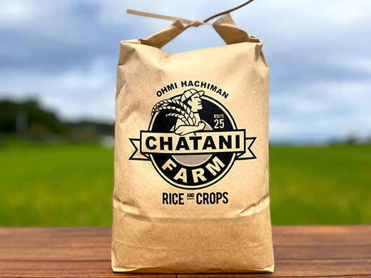 【7年産】近江米にこまる白米5kg【V017W1】