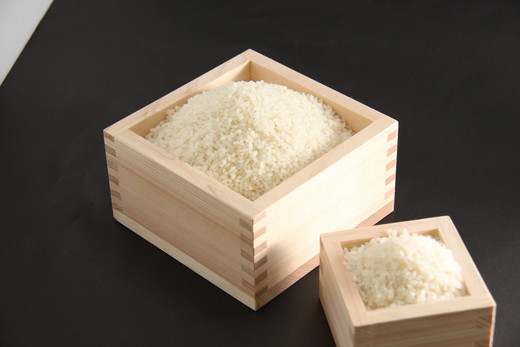 【新米】【7年産】近江米にこまる白米5kg【V017W】