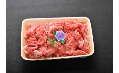 yꌧߍ]szߍ]؂藎Ƃy500zyAC02Wz