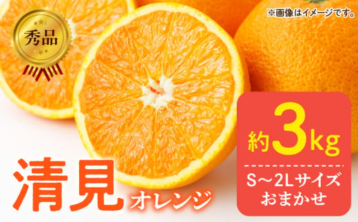 【和歌山県有田郡湯浅町】DZ6103_【ふるさと納税】【2026年先行予約】秀品 きよみ 清見オレンジ 和歌山 有田 S〜2Lサイズ 大きさお任せ 約3kg