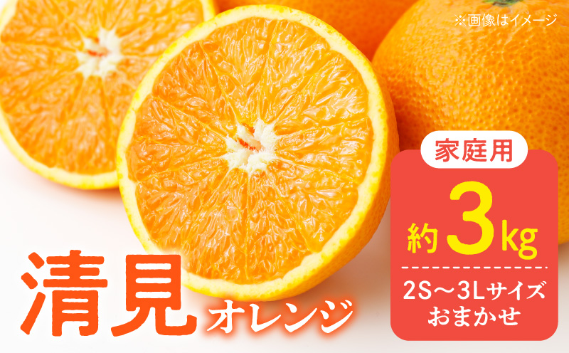 ya̎RLcS󒬁zDZ6226_y2026Ns\z󂠂 ƒp  IW a̎R Lc 2S`3LTCY 3kg